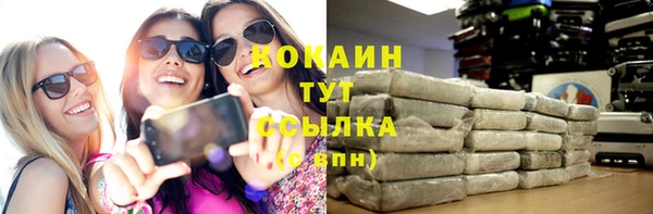 сатива Кодинск