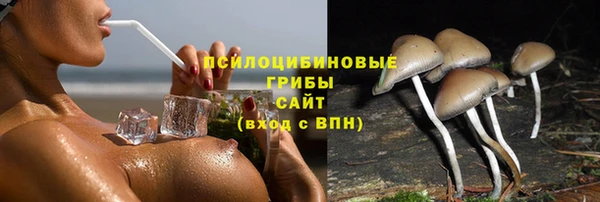 гашиш Бикин