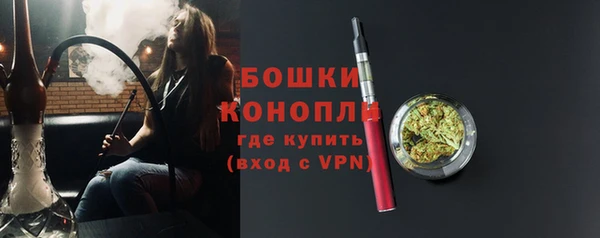 молекула духа Киреевск