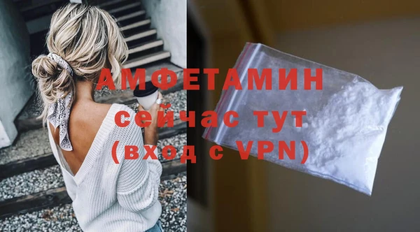 дживик Козельск