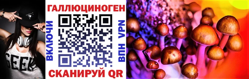 Галлюциногенные грибы Magic Shrooms  купить закладку  Ковдор 
